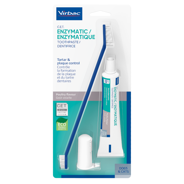 Toothpaste and Dual Ended Toothbrush